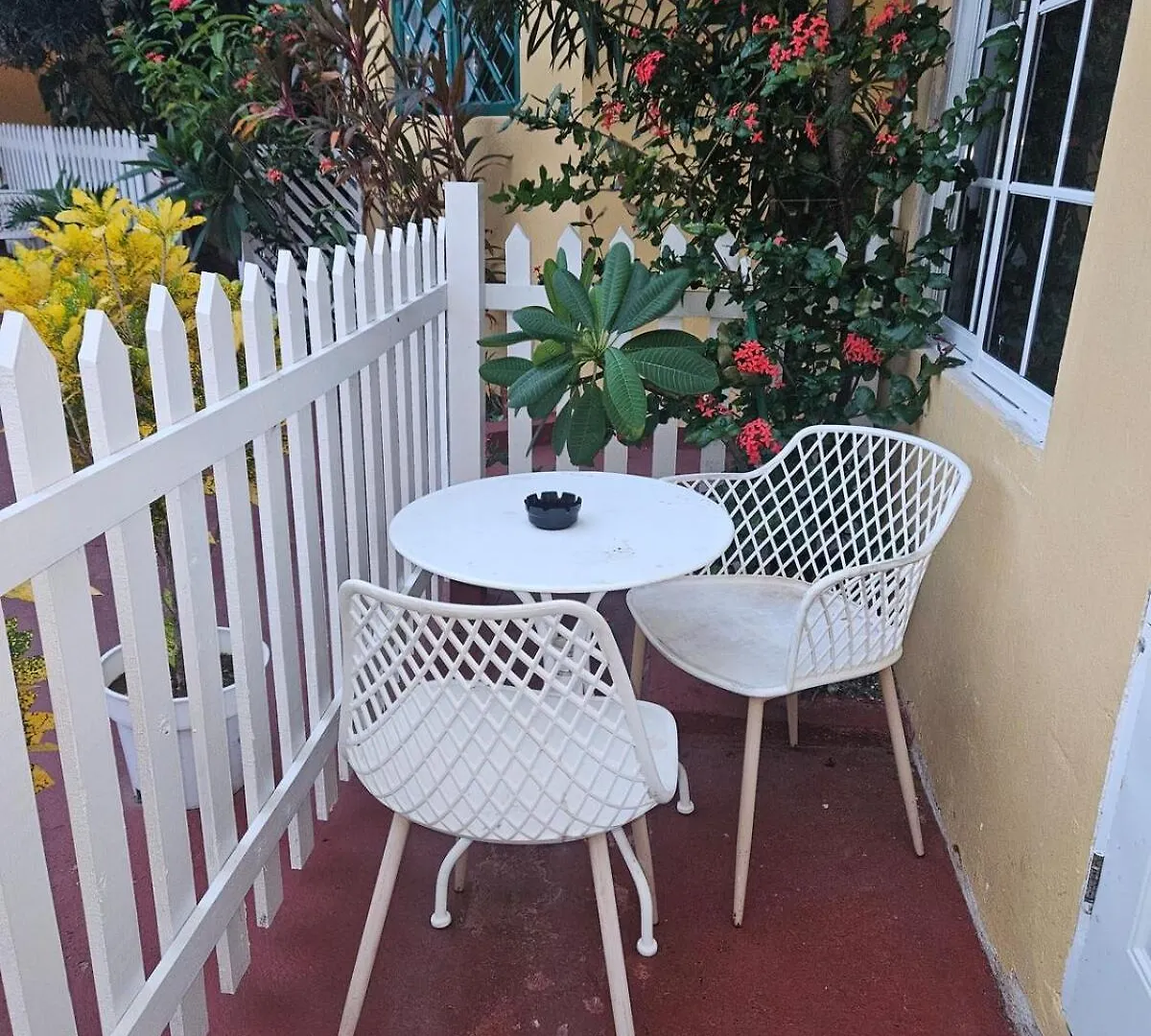 Compact Studio, Beach & Pool 204A Montego Bay Jamaica
