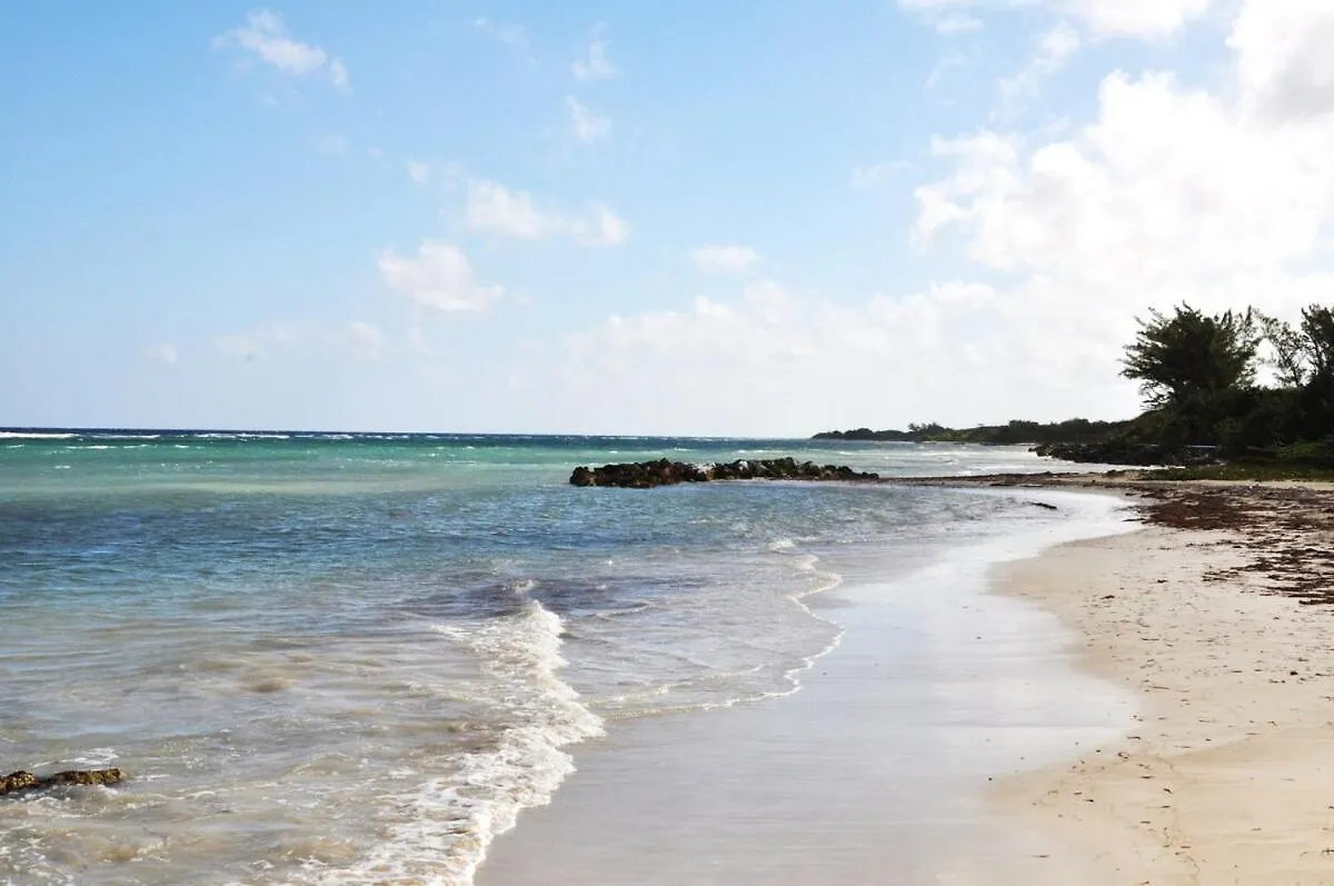 Compact Studio, Beach & Pool 204A Montego Bay