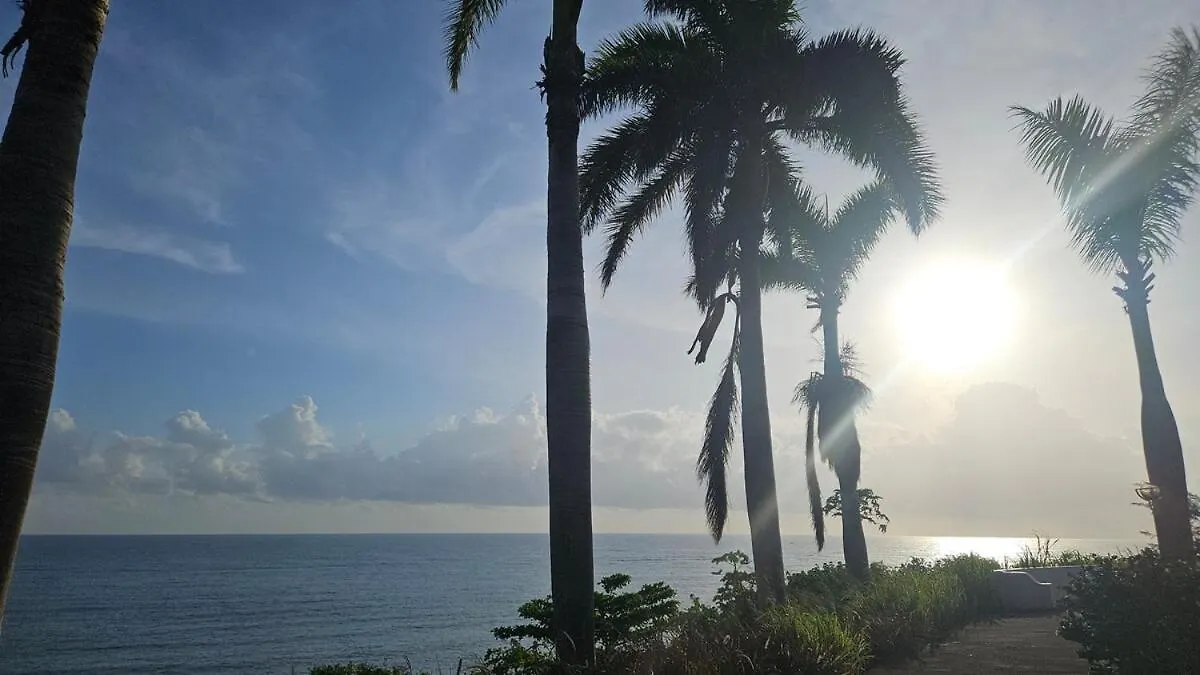 Compact Studio, Beach & Pool 204A Montego Bay